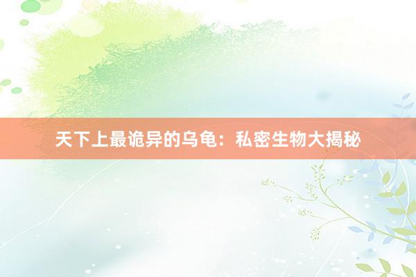 天下上最诡异的乌龟：私密生物大揭秘