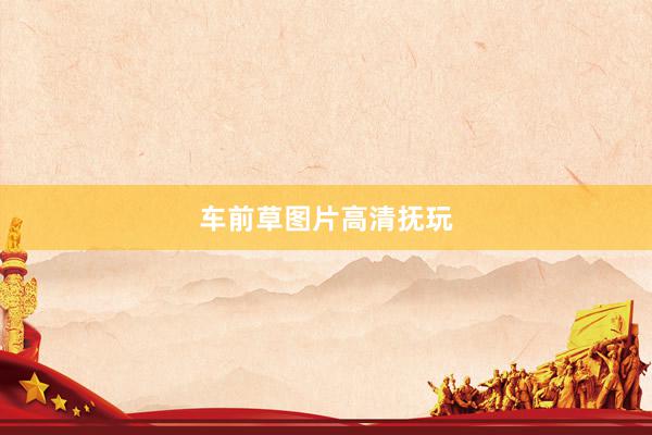 车前草图片高清抚玩
